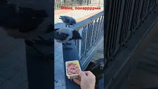 Три голодных сыночка и лапочка дочка 💓