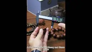Digital Caliper