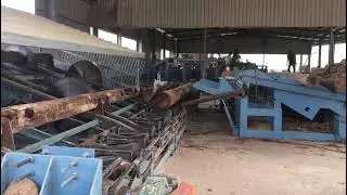 Log cutting saw machine.Log size cutting,