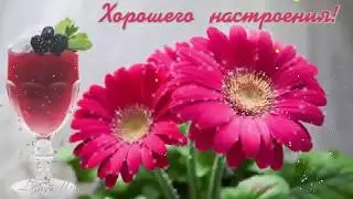 Поздравление с Днём Счастья