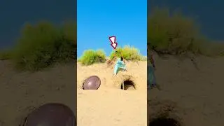Best Funny Video 😂😂 wait for end #shorts