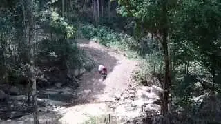 Jungle Scooter Safari, Koh Samui