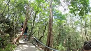 Langkawi Sky bridge trail - 250524 - 360 video (part 3)