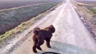 Cycling with Barbet Sifra