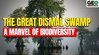 Great Dismal Swamp: A Marvel of Biodiversity
