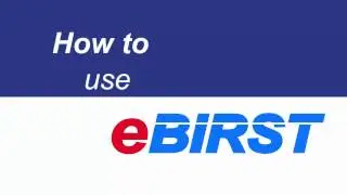 How to use eBIRST Switching System Test Tools