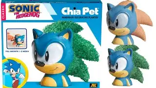 Sonic the hedgehog Chia pet