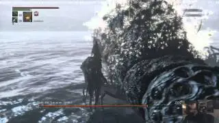 Bloodborne - Rom, the Vacuous Spider - Fast kill with Rosmarinus NG+