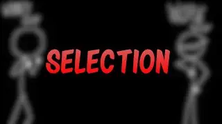 Selection