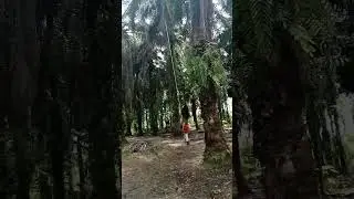 EGREKNYA TAJAM SANGAT#shorts