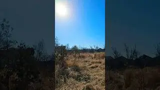 Early spring fun #spring #fun #viral #trending #shorts #shortsvideo #shortsfeed shortsf