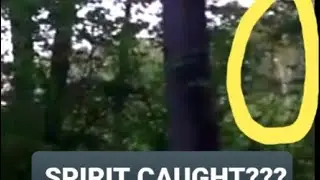 GETTYSBURG GHOST CAUGHT ON VIDEO: SOLDIER IMAGE SEEN AT 