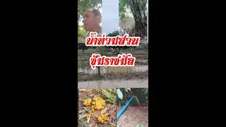 น้ำท่วมสวน ซุ้มราชมัล