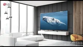 LG WebOS TV 6.0 - Connexion Internet
