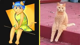 Inside Out 2: Hilarious Cats and Dogs Memes😂