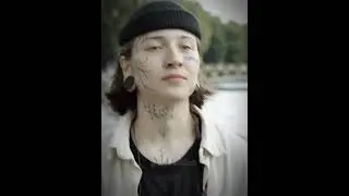 больше видео в тг: violett_hills23 #виолеттамалышенко