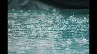 Socialni parazit deževnega in posmehajočega Subarca (Avantgarda Mix) - Matej Železnik