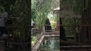город Худжанд кафе шоми ором
