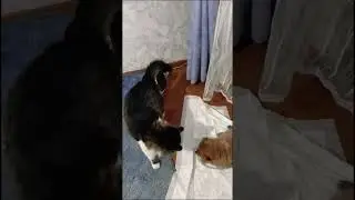 7 июня 2024 г.