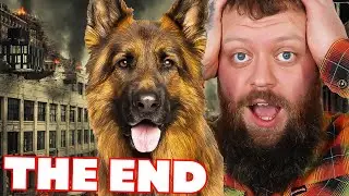 Best Dog Breed To Help Survive The Apocalypse
