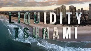 U.S. Economy 2021 Liquidity Tsunami | Richard Duncan