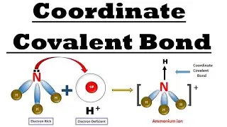 Coordinate Bond ll उपसहसंयोजी बंध ll
