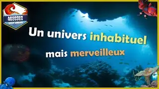 Un jeu à l'univers intéressant : Abyssus Deep Under