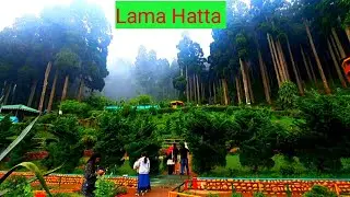 पहिलोपल्ट लामा हट्टा जाँदा रमाईलो आयो It was fun going to Lama Hatta for the first time