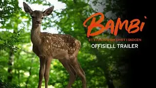 Bambi - Et eventyr om livet i skogen | Offisiell trailer | På kino 15. november
