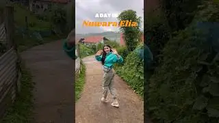 Жизнь на Шри-Ланке #шриланка2024 #шриланка