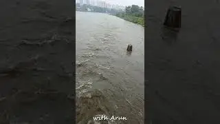 Chennai rain today live news | Water 4m Chembarambakkam lake to Adayar river 14 #shorts #சென்னை #மழை