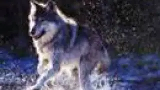 Voices of the Wind - The Beautiful Wolf - Sublime