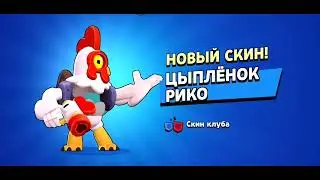 Купил цыпленка рико