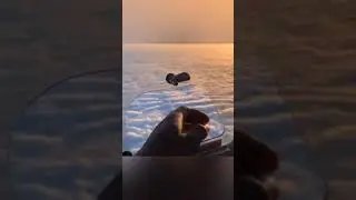 самолёт