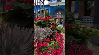 Jardín de invierno #diseñodeinteriores