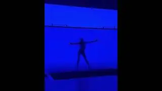 #lisa