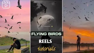 How to editing birds flying reel !! flying birds reel tutorials!!