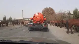 ОТЛАР УЮРИ (ИЛҚИ)
