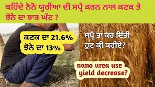 nano urea! ਕੀ ਨੈਨੋ ਯੂਰੀਆ ਦੀ ਸਪ੍ਰੈ ਕਰਨ ਨਾਲ ਕਣਕ ਤੇ ਝੋਨੇ ਦਾ ਝਾੜ ਘੱਟਦਾ?