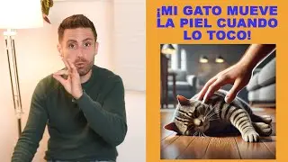 ¿Por qué mi gato mueve la piel cuando le toco?