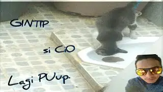 Ngintip Siapa yang Lagi di WC yuuukk..?? Kebiasaan si Cio.