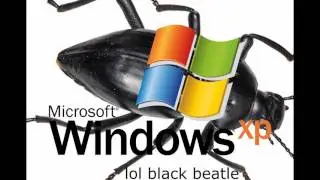 black beatles from windows xp error