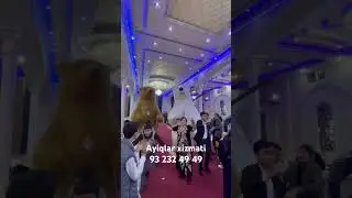ayiqlar tuyda uynashi 🤩🤩мишка хизмати 932324949