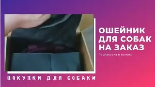 Ошейник для собак. Покупки для собак. Распаковка и осмотр.