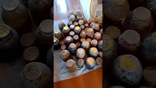 Купили дом! Нашли клад!!!!!