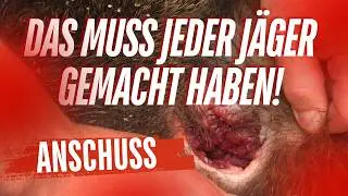 Anschuss und Nachsuche: So machen es die Profis | Der Jungjägerguide