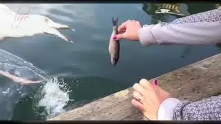 HAVING A BAD DAY - Click Here