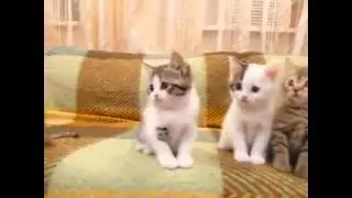 My Edited Video