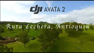 DJI Avata 2 FPV - Ruta Lechera, Antioquia