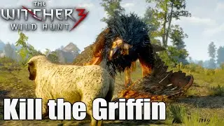The Witcher 3: Killing the Griffin (Boss Fight)